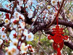 -钱王祠
