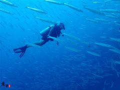 -班拉雅潜水度假村