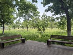 -汉长安城未央宫国家考古遗址公园