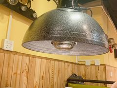 -燚店·铁板鱼蛙·烤肉·烤串(北新桥店)