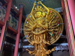 -上海东林寺(金山区)