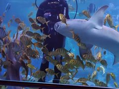 -太平洋海底世界