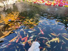 -下海庙