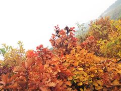 -沈阳辉山风景区