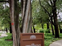 -北京市劳动人民文化宫(太庙)
