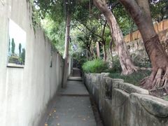 -南山植物园