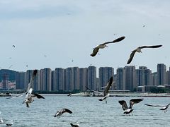 -悦海公园