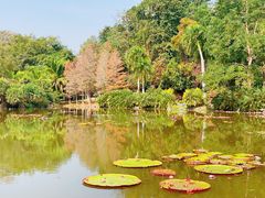 -中国科学院西双版纳热带植物园
