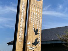 -盐城丹顶鹤湿地生态旅游区