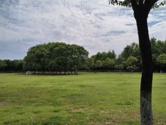 -艾溪湖湿地公园
