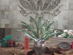 -浣花锦绣(杜甫草堂店)