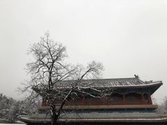 -潭柘寺景区