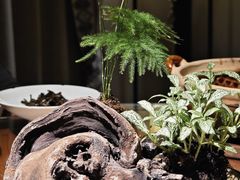 -31号公馆(黄兴广场白果园店)