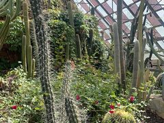 -亿利库布其七星湖沙漠生态旅游区