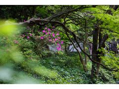 -杭州植物园