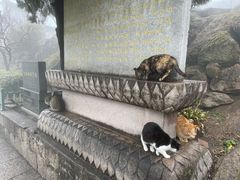 -九华山风景区