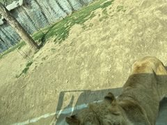 -北京野生动物园