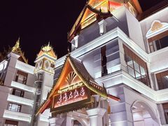 -西双版纳原始森林公园