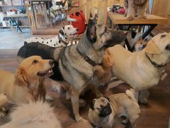 -萌喵咖啡屋(人民东路4号口M16商铺店)