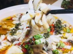 -三猫黑鱼花(南大店)