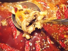 -销魂美蛙鱼头火锅(上海首店)