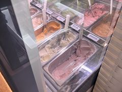 -鹤茶野所(上海首店)