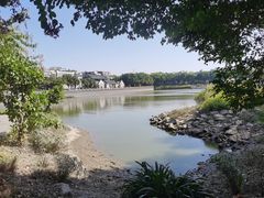 -黄埔古港