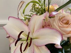 -花舍·新派粤菜·西餐·下午茶(亚运村·鸟巢店)