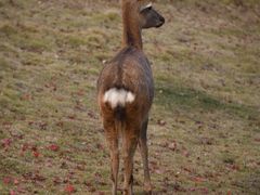 -南京金牛湖风景区