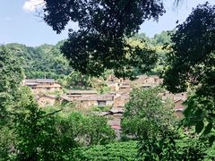 -杨家堂村