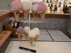 -野人先生Gelato(上海长宁龙之梦店)