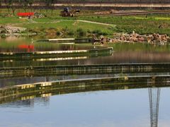 -永定河休闲森林公园