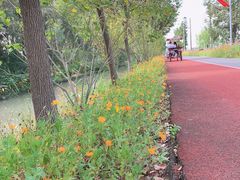 -上海长兴岛郊野公园