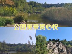 -鹦鹉寺公园