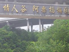 -情人谷