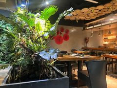 -森味薪火烧•烧鸟居酒屋•日本料理(望京店)