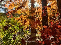 -本溪老边沟风景区
