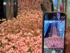 -洋洋广场(南街店)