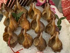 -尚海豆捞(乐虹坊店)