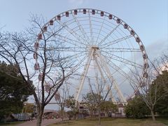 -顾村公园