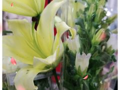 -宝鸡东道花鸟鱼虫市场(吉利花园商场店)