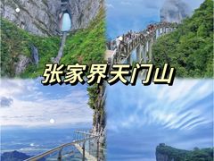 -张家界站