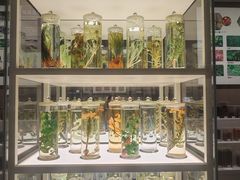 -北京中医药大学-中医药博物馆