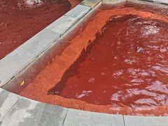 -融汇温泉