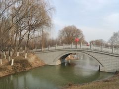 -西安浐灞国家湿地公园