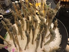 -洞仙锅(花园街店)