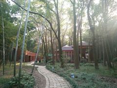 -同里国家湿地公园