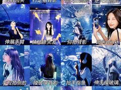 -成都浩海立方海洋公园