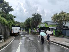 -圣淘沙天际线斜坡滑车