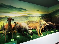 -辽宁大学(崇山校区)